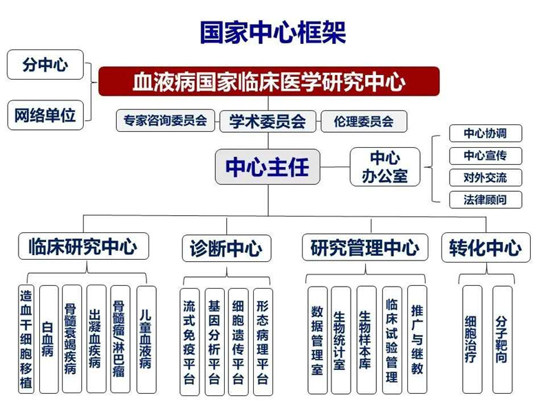 5f116644068d1.jpg 5f116644068d1.jpg