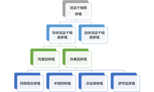 626a372f3cd5e.png 626a372f3cd5e.png