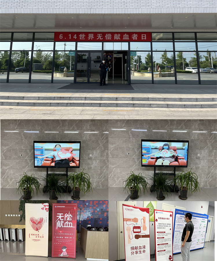 648ad312bef6c.jpg 648ad312bef6c.jpg