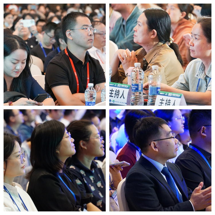 6502c65500916.jpg 6502c65500916.jpg