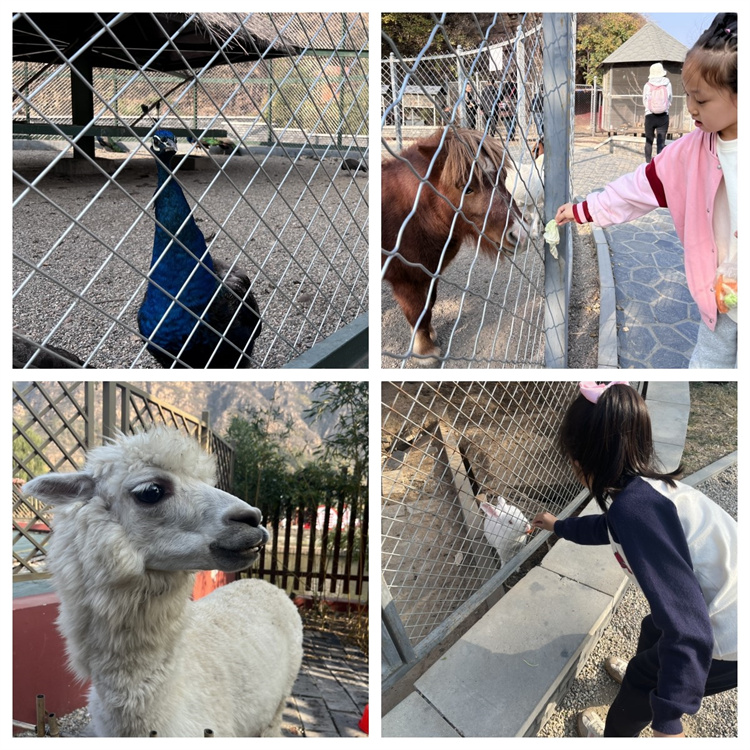 65489975f1cdd.jpg 65489975f1cdd.jpg