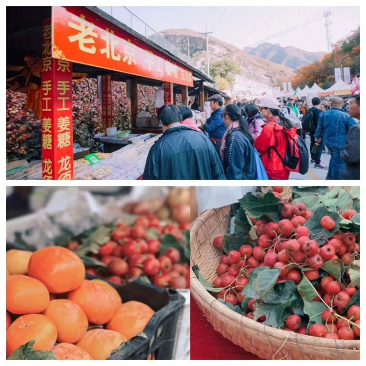 654b42e15e232.jpg 654b42e15e232.jpg