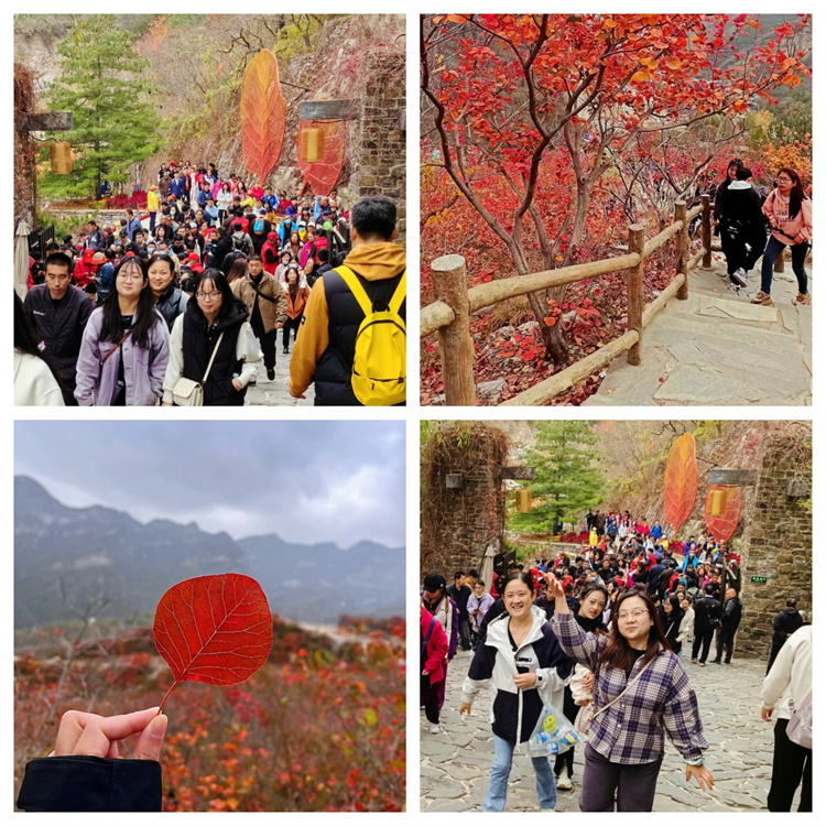 654b42e783f28.jpg 654b42e783f28.jpg