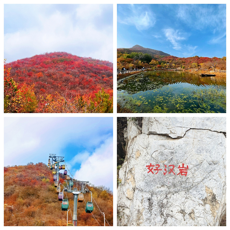 654b42ecb8185.jpg 654b42ecb8185.jpg