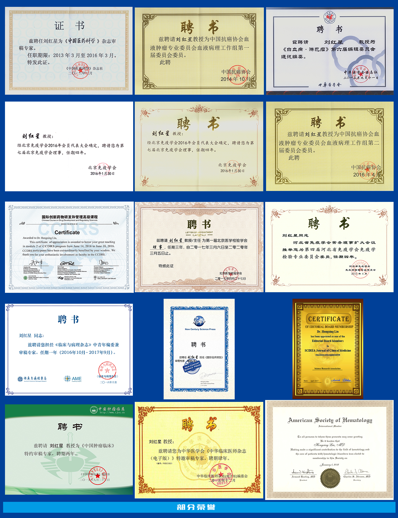 657153ddc86a2.jpg 657153ddc86a2.jpg