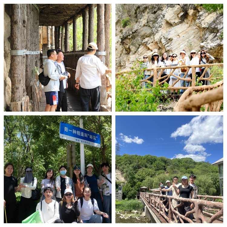 66615fdac55ce.jpg 66615fdac55ce.jpg