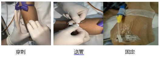 66a9d11d8f3bd.png 66a9d11d8f3bd.png