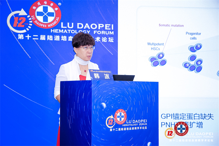 66cc2f9d83580.jpg 66cc2f9d83580.jpg