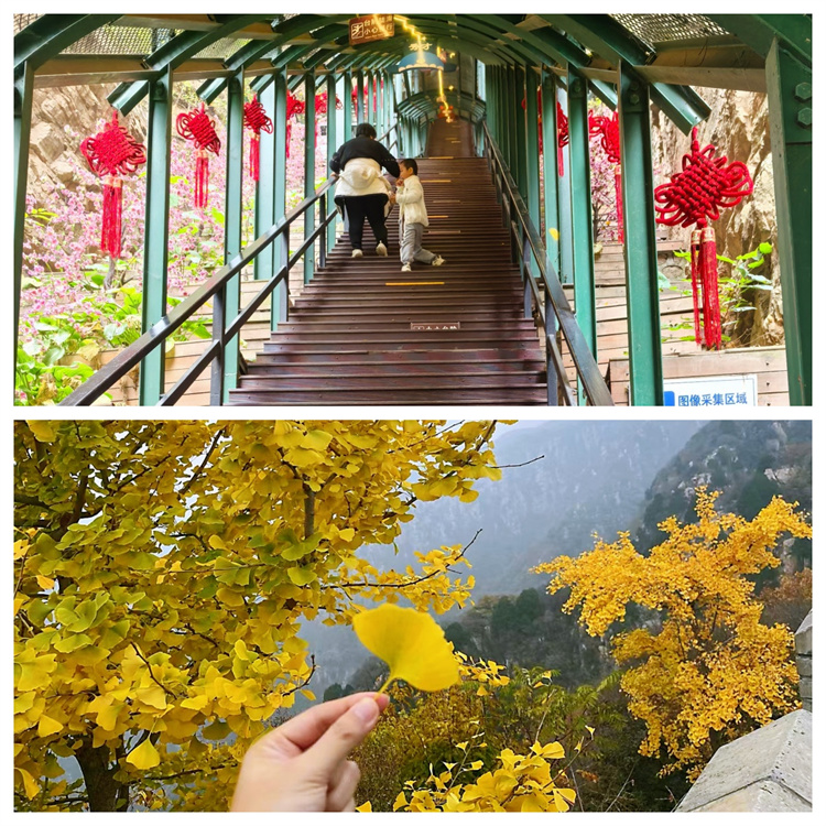 6721ededf3bca.jpg 6721ededf3bca.jpg