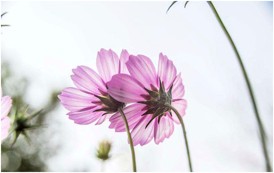 67330b39900ec.png 67330b39900ec.png