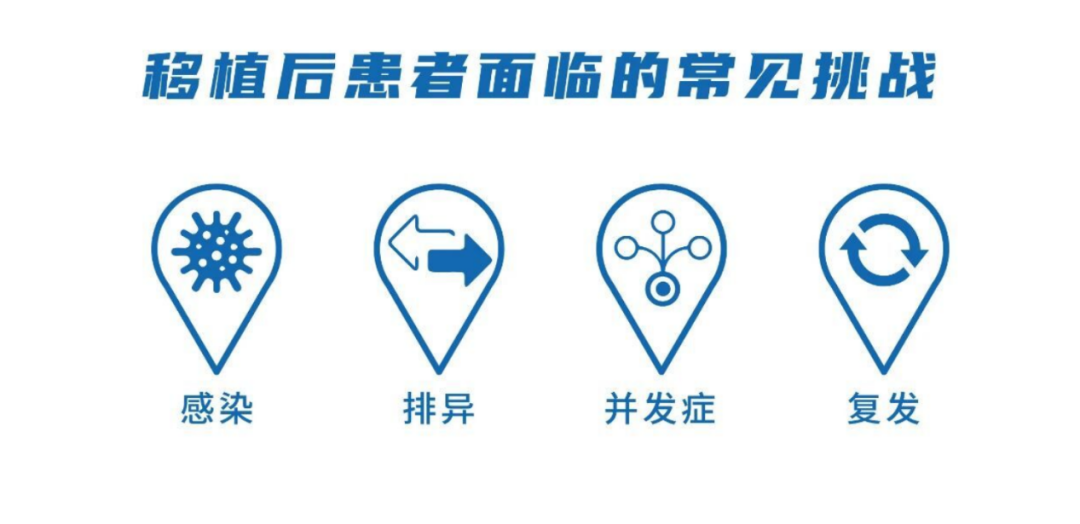 682e70d1a42fc.png 682e70d1a42fc.png