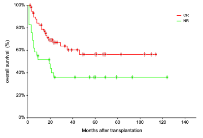 684b902caccc9.png 684b902caccc9.png