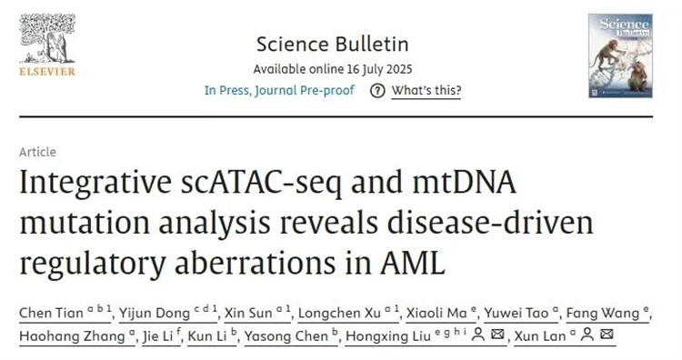 6889d60b63be5.jpg 6889d60b63be5.jpg