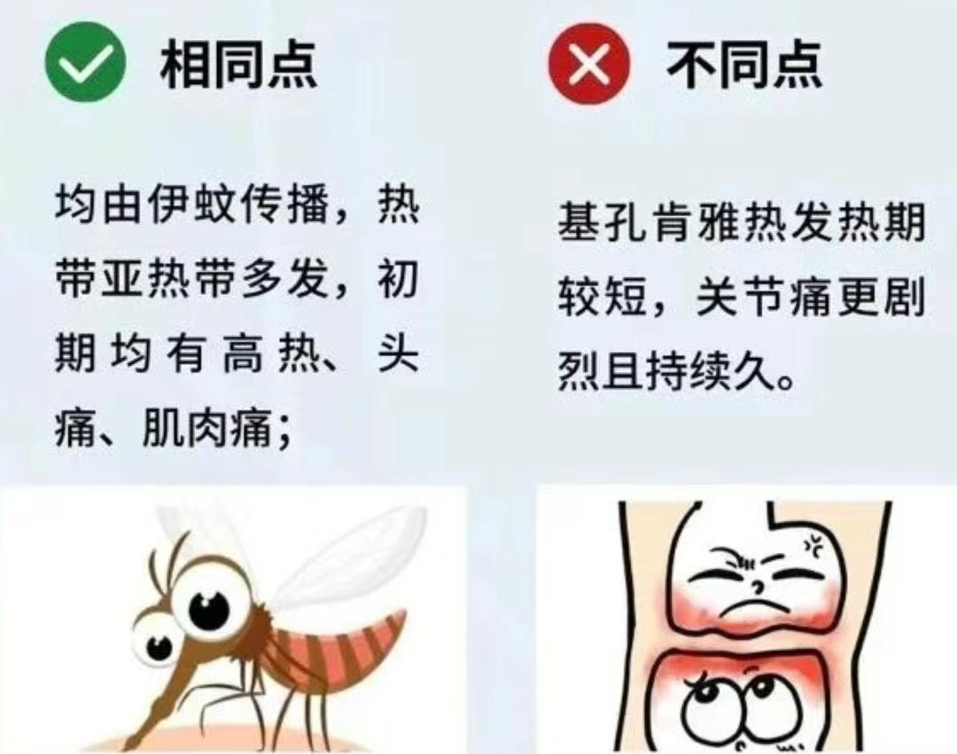 68958615d4ae3.png 68958615d4ae3.png