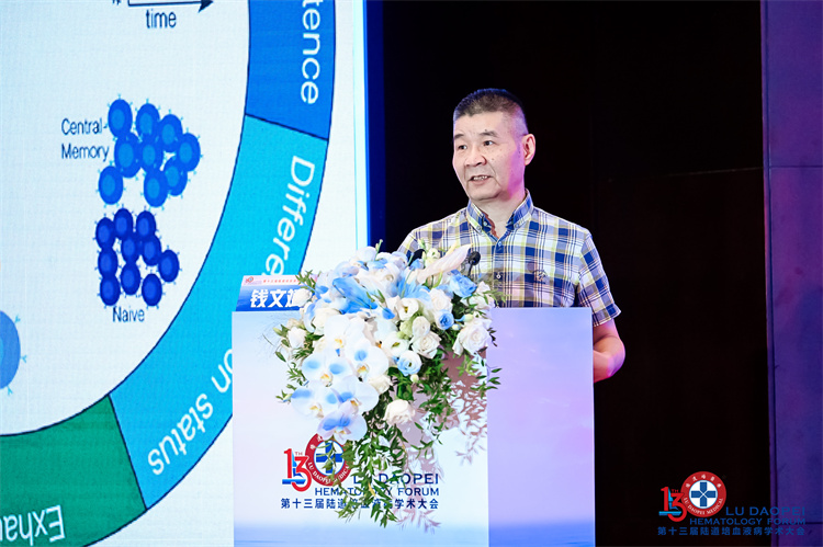 68ad24b704851.jpg 68ad24b704851.jpg