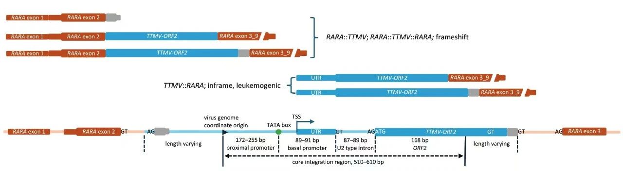 68ad706524ecf.jpg 68ad706524ecf.jpg